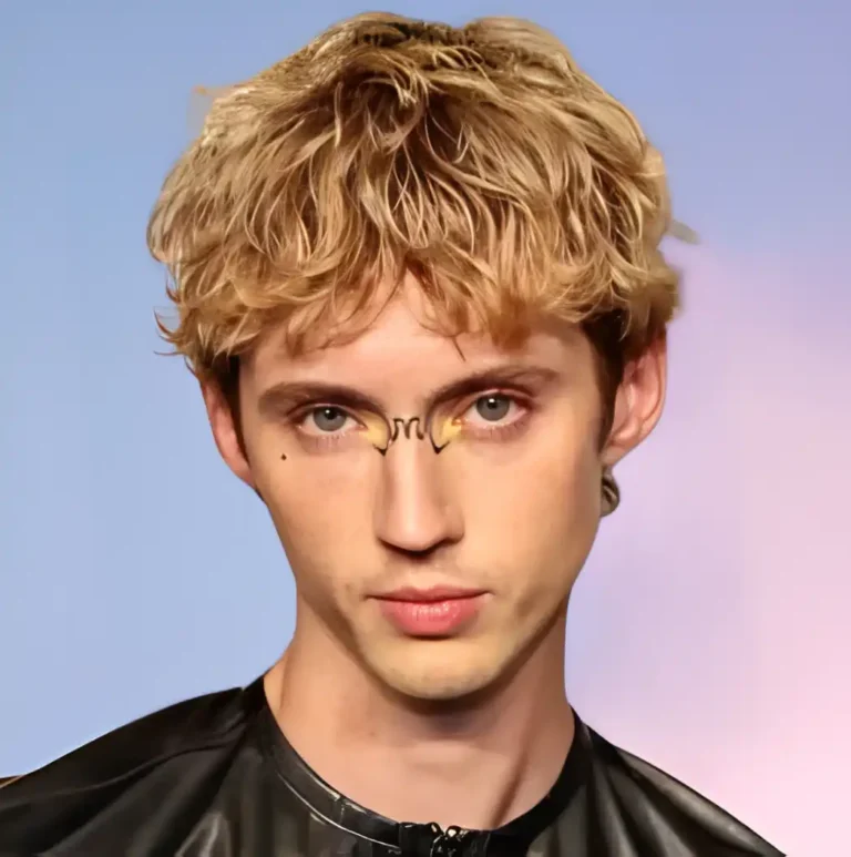 Troye Sivan Wiki Biography, Age, Height, Family, Wife, Personal Life, Career, Net Worth